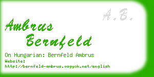 ambrus bernfeld business card